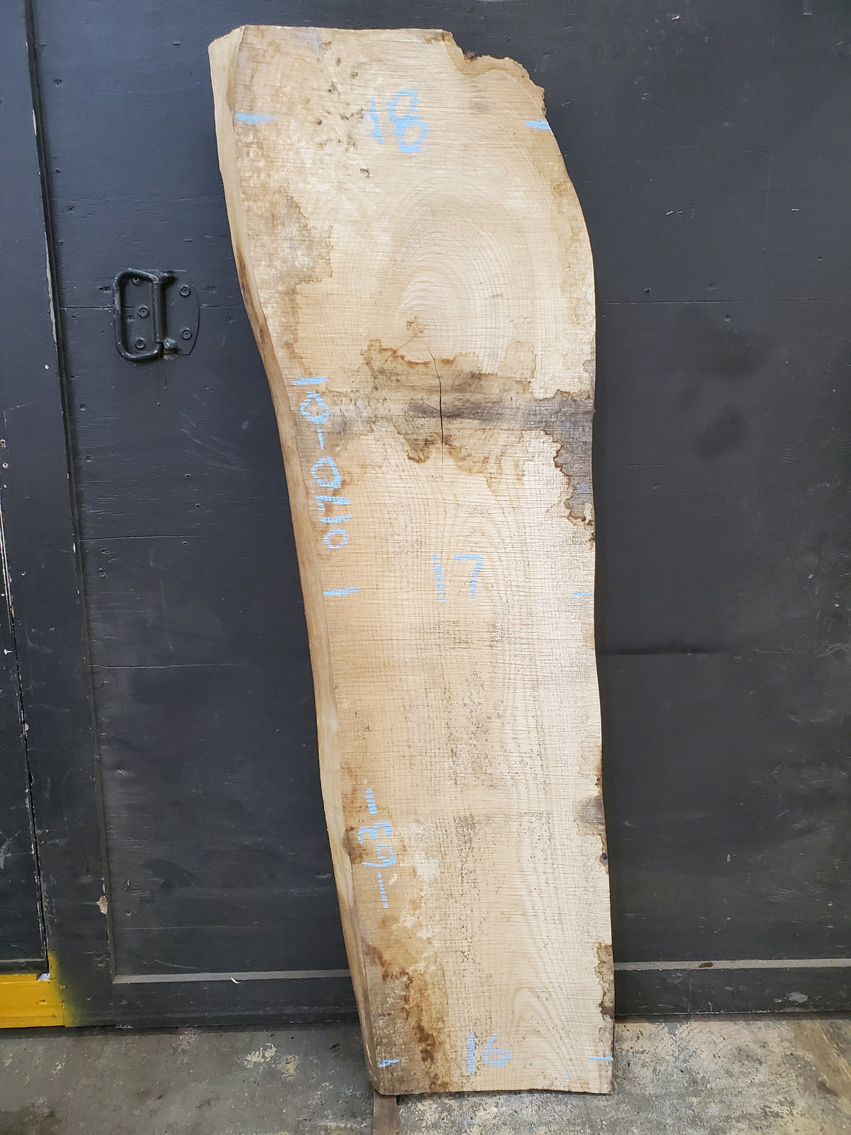 63" x 17" Ash Slab 017001 — Wane+Flitch